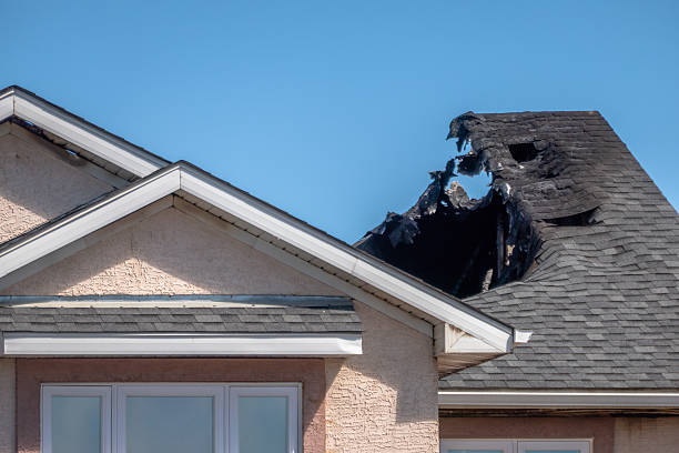 Top rated local Fire Damage Removal specialists in Brookeville, MD
